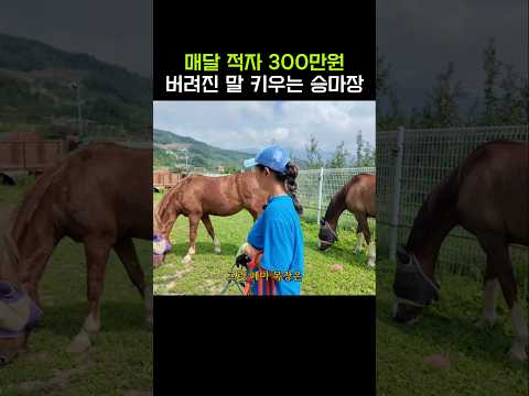 5년 쓰고 버려지는 경주마 thumbnail