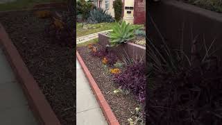 San Diego - DON'T MOVE HERE