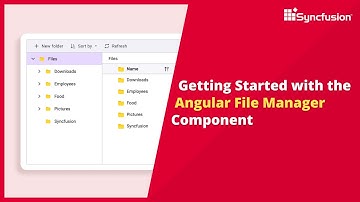 Getting Started with the Angular File Manager Component