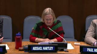 UNMAS side event "Opportunities and challenges: humanitarian mine action in Afghanistan and Iraq" screenshot 5