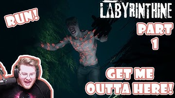 Labyrinthine Gameplay: Lost my Mind in a Hedge Maze (Part 1)