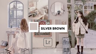 SILVER BROWN Presets - Tutorial Lightroom Mobile New Presets DNG Free screenshot 5