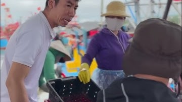 Cá cơm làm nước mắm cốt nhĩ truyền thống Mười Quý OCOP 4 sao của Quảng Ngãi