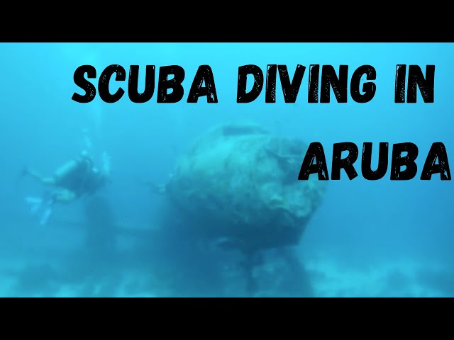 Fly & Dive on the Same Day to Bonaire & Back to Aruba
