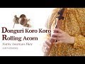Donguri Koro Koro(Rolling Acorn) Native American Flute / Japanese song