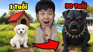 Tôi là CON CHÓ sống từ 1 đến 30 tuổi sẽ như ...