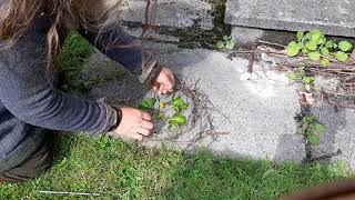 Mindful Green Man Making