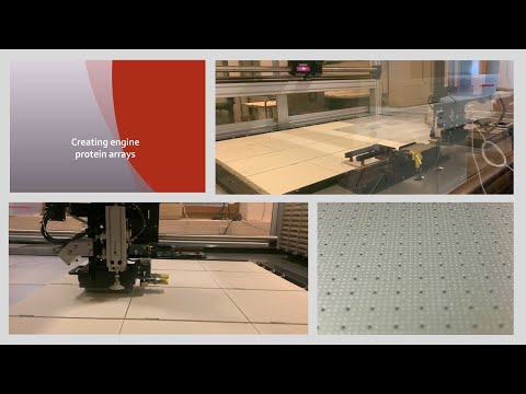 How to create engine protein arrays