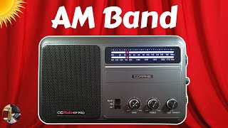 C.crane Cc Radio Ep Pro Am Fm Radio Daytime Am Chicago Area
