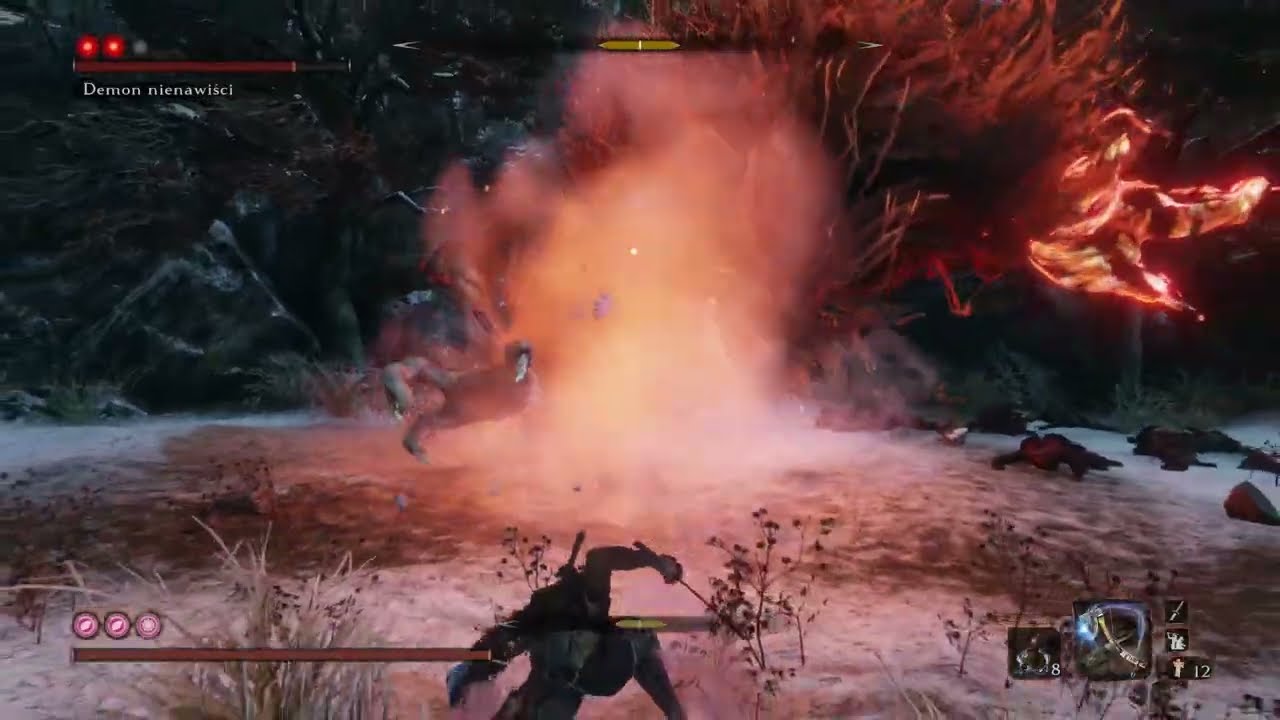 Demon of Hatred vs. guy on ng+