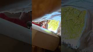 Hühner und Küken füttern
Hühner und Küken füttern Hühner und Küken füttern