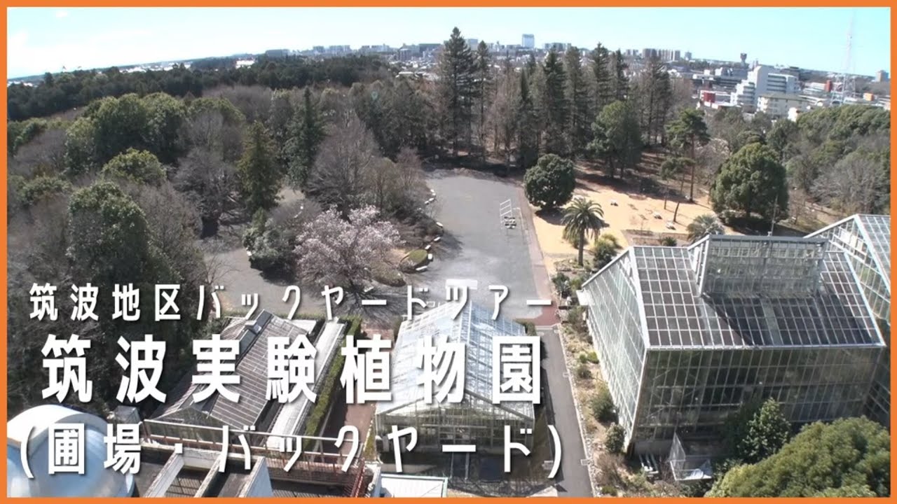 国立科学博物館 筑波実験植物園(圃場・バックヤード)
