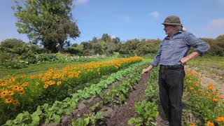 Why Should You Integrate Flowers | Homesteading with Jim Cronin [Chapter 8]