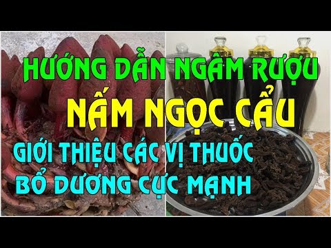 Video Nấm Ngọc Cẩu - Hướng dẫn ngâm rượu Nấm Ngọc Cẩu - Tác... - youtube