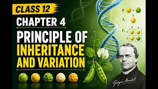 class 12 Biology Principle of Inheritance and Variation