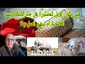 متى يكون الويل للمصلين هل جاء الإسلام ليستن الأضحية أم ليوقفها 21 03 2025 