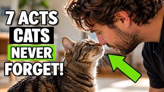 The 7 Acts Of Love Your Cat Hopes From You Throughout Their Entire Life