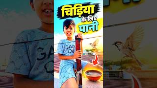 Chidiya ko paani pilaya ❤️ #viral #youtubeshorts #shortvideo #shortsviral