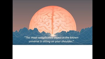 Intranet of Neurons - ERC Consolidator granted research - introduction