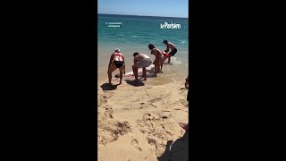 Le « poisson de l'apocalypse » s’échoue sur une plage au Mexique