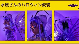 水原希子、今年のハロウィンは昆虫コスプレに挑戦！　『メルカリ アフターハロウィンパーティー』開催