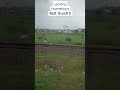 Feeling while leaving hometown #viralvideo #viralreels #journey #train #india