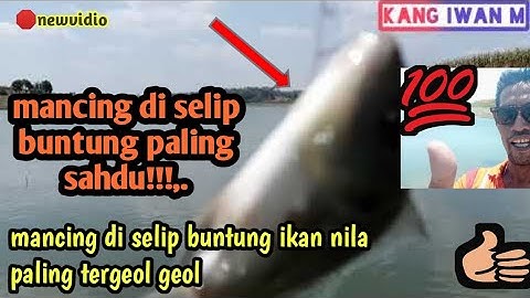 Mancing Lagi lur Sport Lama Selip Buntung Waduk pacal ikan Nila Goyang Sampai tergeol geol,,.