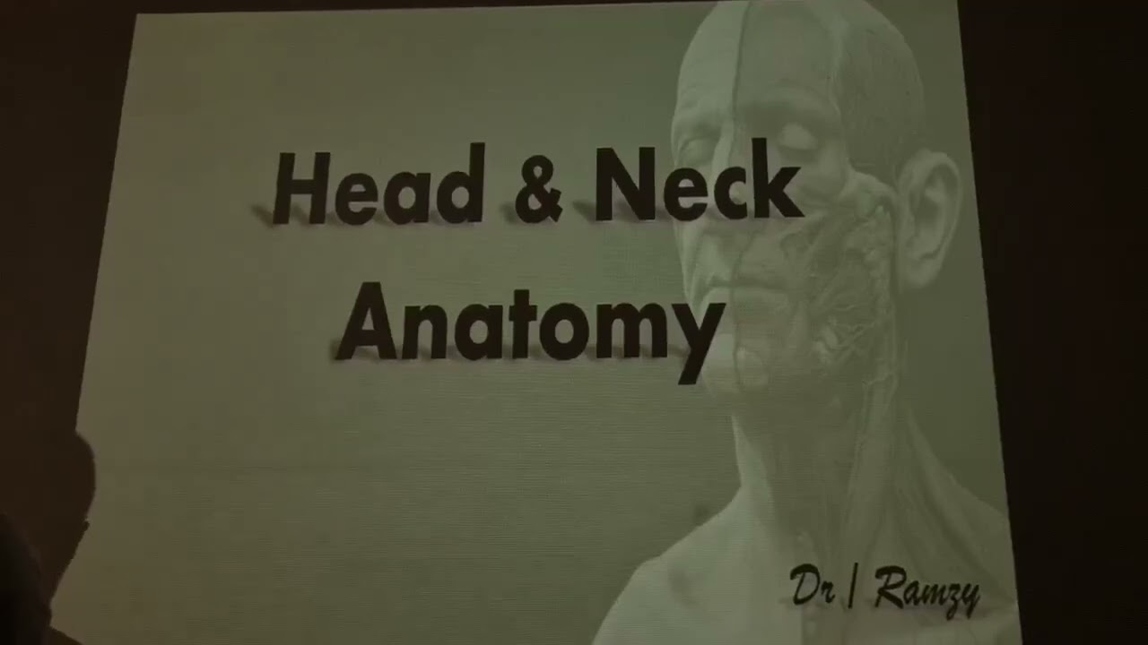 Parotid gland part 1