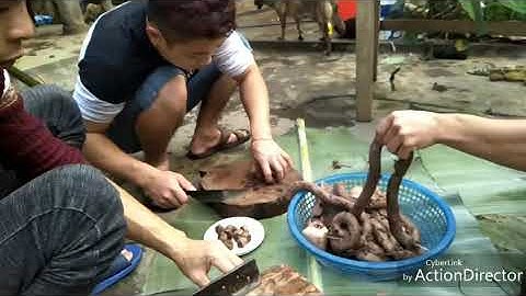 tất  niên  của  người  nùng  lục  yên-yên  Bái