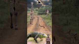 Download Lagu Tak Disangka! Buaya Tiba-Tiba ke Darat, Jerapah Langsung Panik! 🦒🔥 #animals #shorts #wildlife #fyp MP3
