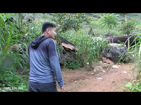 Video #81 Cập nhật tình hình tại Thung Lũng Cán Lũng - Nghe... - youtube