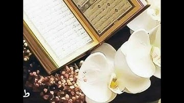 ماتيسر من سورة النور _ للقارئ طارق محمد 🌹