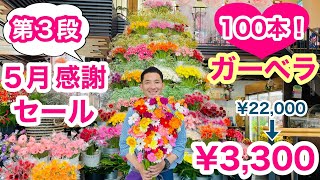 100本!!　ガーベラ　心のビタミンカラー　セット