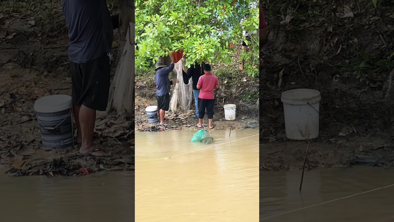 Вдвое больше усилий, вдвое больше улова? 
