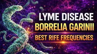 Lyme Disease: Borrelia Garinii Rife Frequencies | 36 min Neuro Support | Dual Octave Resonance