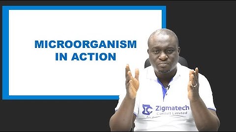 BIOLOGY | MICROOGRANISMS IN ACTION | EXAM GUIDE | LEARNING HUB | ZIGMATECH CONSULT | EXAM | SCIENCE