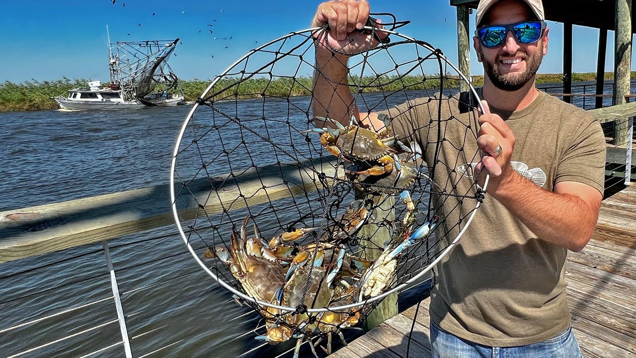 Netting LOTS OF CRABS From a Public Pier