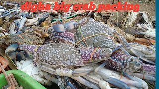 DIGHA Big size crab catch and processing-canned crab  meat  - crab meat production line#srworld