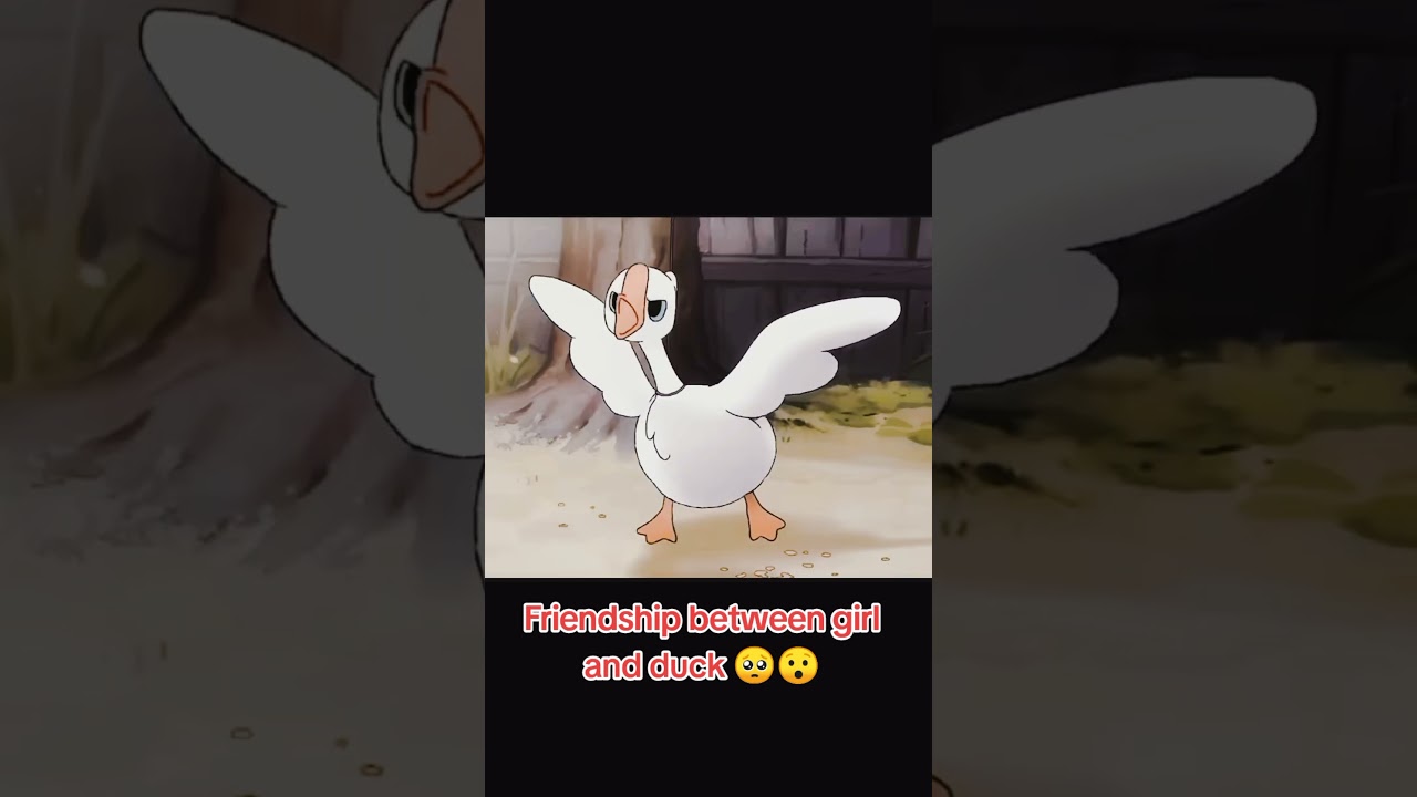Friendship between girl and duck 🥺😯