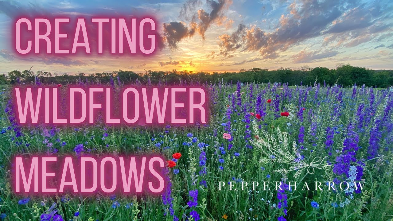 Creating Wildflower Meadows For Pollinators and Profit | PepperHarrow | Episode 10