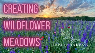 Creating Wildflower Meadows For Pollinators and Profit | PepperHarrow | Episode 10