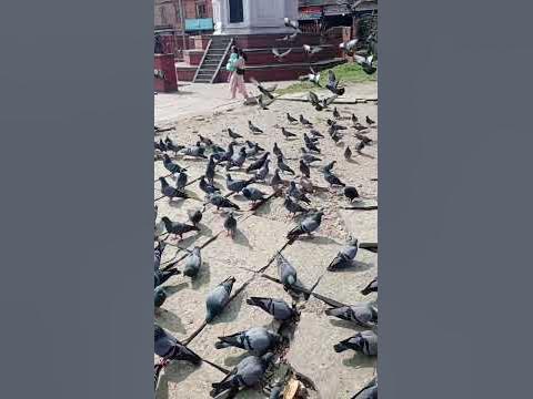 Nice one - YouTube