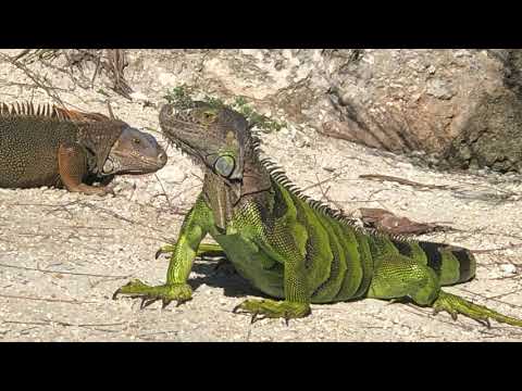 Our new friends in Florida