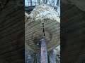 Log Splitter Action! #slowmotion #logsplitter #log #lumberjacks