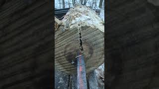 Log Splitter Action! #slowmotion #logsplitter #log #lumberjacks