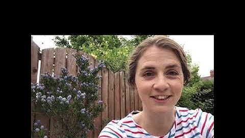 Primary 1 Welcome Video