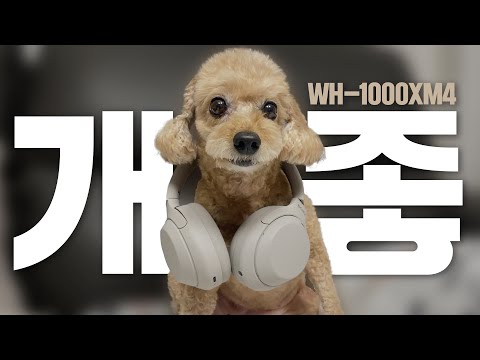 노캔 헤드폰 <strong>종결자</strong> 소니  WH-1000XM4 <strong>상세</strong> 리뷰