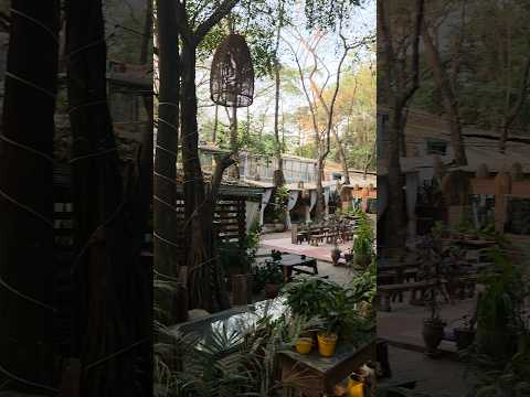 A quiet day at Maambah Café #abujafoodtour #naturehaven