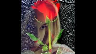 Bunga Merah 🪐 Tiara