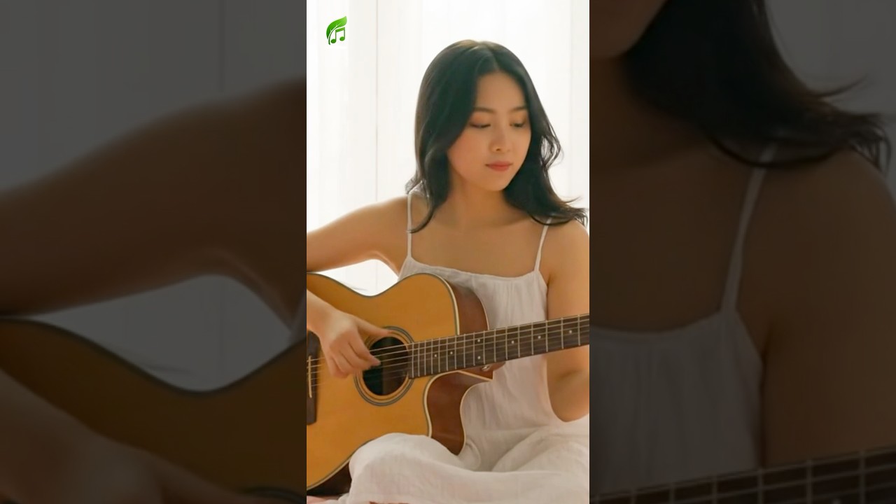 Giai điệu của b&igrave;nh minh &ndash;một ng&agrave;y mới, một năng lượng mới  #guitarsolo #guitar #fingerstyle  #S624